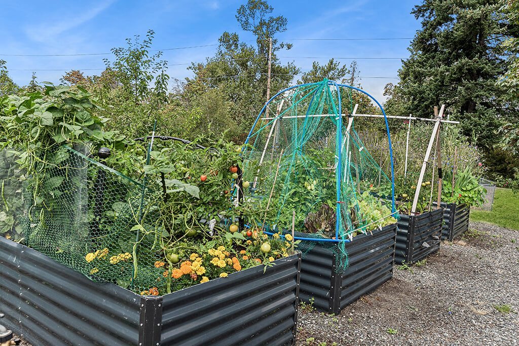 Community garden planters at Woodrose Senior Affordable Apartments in Bellingham WA